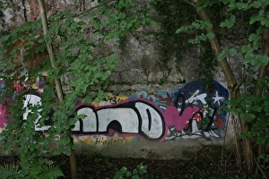 Graffiti in the forest, Switzerland Graffiti in the forest, Switzerland