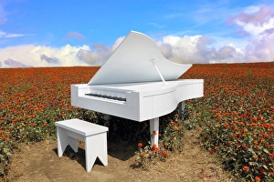 Grand piano in zinnia field