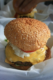 Hamburger