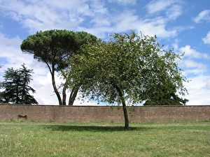 Hampton Court Palace, Surrey