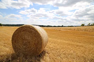 Hay bundle in English field, The Chilterns Hambledon UK