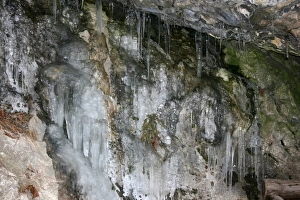 Icicles, Landschaftsgarten, Arlesheim, Switzerland Icicles, Landschaftsgarten, Arlesheim, Switzerland