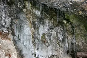 Europe Prints: Icicles, Landschaftsgarten, Arlesheim, Switzerland