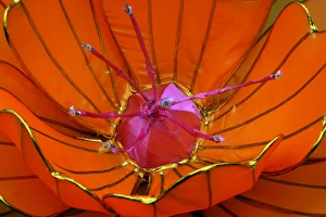 Lantern Flower at Taipei Lantern Festival 2012, Taiwan