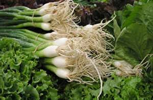 Mixed vegetables