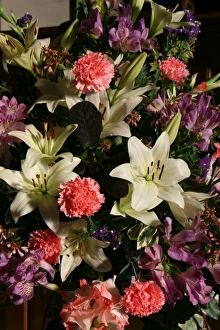Lilies