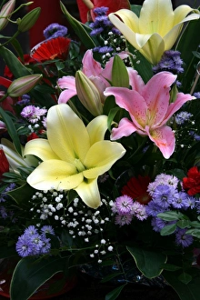 Lilies