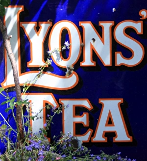 Teas Welcome sign