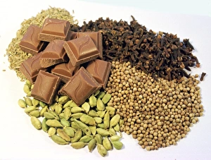 Chocolate and spice
