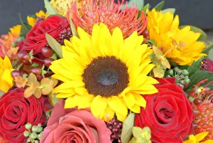Flower Prints: Mixed flowers (Rights managed) Size: 5222 x 3482 pix 17. 407 x 11. 606 300dpi