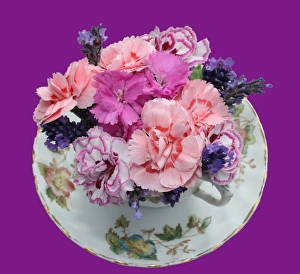 Tea cup