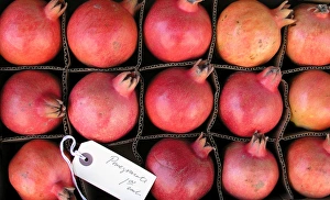 Fruit Prints: Pomegranate