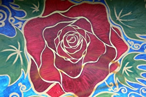 Red rose in full bloom