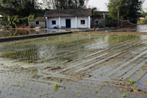 <b class=qtipBold><figcaption>Rice farmers cottage, Miaoli, Taiwan</figcaption></b><br><em>© photoslot.com</em> Rice farmers cottage, Miaoli, Taiwan