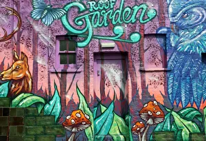 Rooftop garden