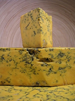 Blue Prints: Shropshire Blue