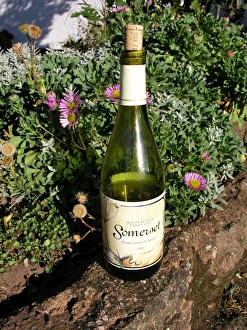 Wine bottles