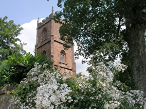 Somerset Prints: St Peter and St Paul, Combe Florey, Somerset