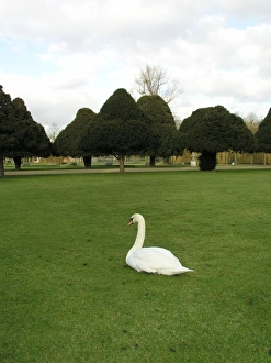 Hampton Court Palace, Surrey
