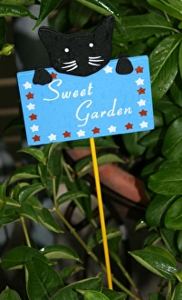 Flower Prints: Sweet garden