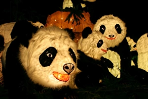 Taipei Lantern Festival 2009, Taipei Taipei Lantern Festival 2009, Taipei