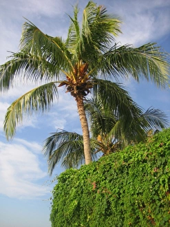 Travel Prints: Tanjung Bungah, Penang, Malaysia