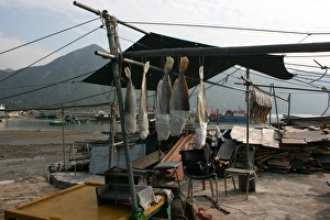 Tao O, Lantau Island, Hong Kong