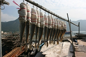 Tao O, Lantau Island, Hong Kong