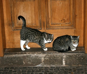 Door Prints: Waiting for the milkman