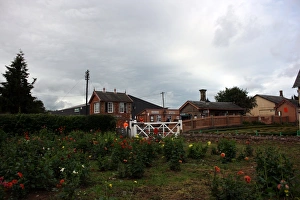 <b class=qtipBold><figcaption>Williton station, Somerset</figcaption></b><br><em>© www.photoslot.com</em> Williton station, Somerset