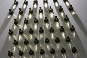 Wine bottles