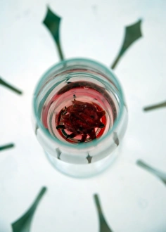 Wine glass with flower petals inside