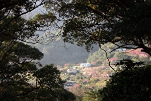 Yangmingshan National Park, Taipei County, Taiwan