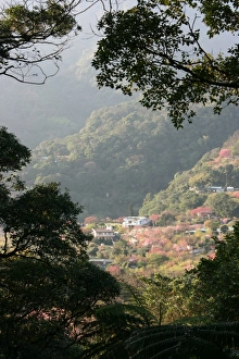 Yangmingshan National Park, Taipei County, Taiwan Yangmingshan National Park, Taipei County, Taiwan