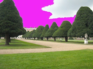 Blue Prints: Yew Trees at Hampton Court, UK